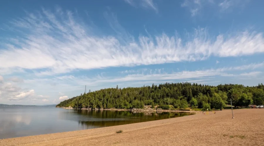 Fundraising for Phase 2 of Dominion Park upgrades