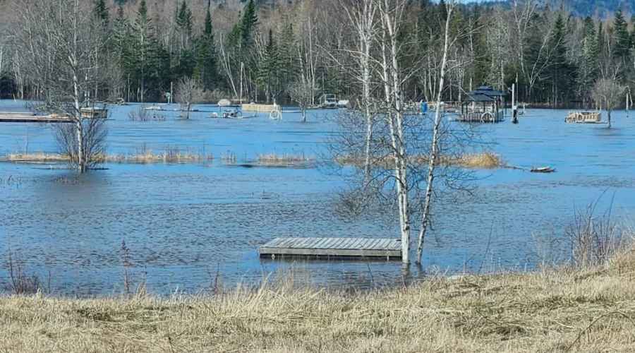 Heavy rain leads to flooding in St. George area