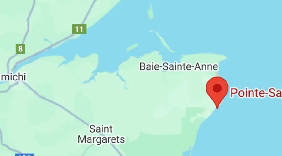 70 year-old arrested in N.B. homicide investigation