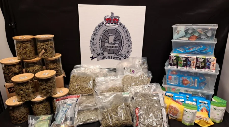 Officers raid east Saint John dispensary
