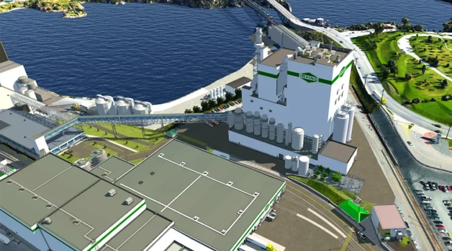 $1.1B upgrade proposed for Saint John pulp mill