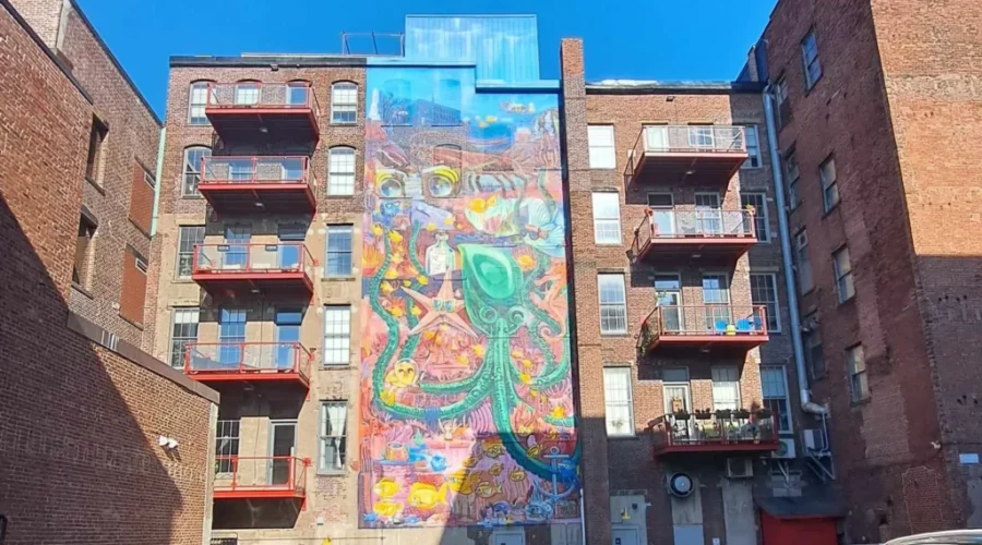 Local arts and culture website an alternative to social media