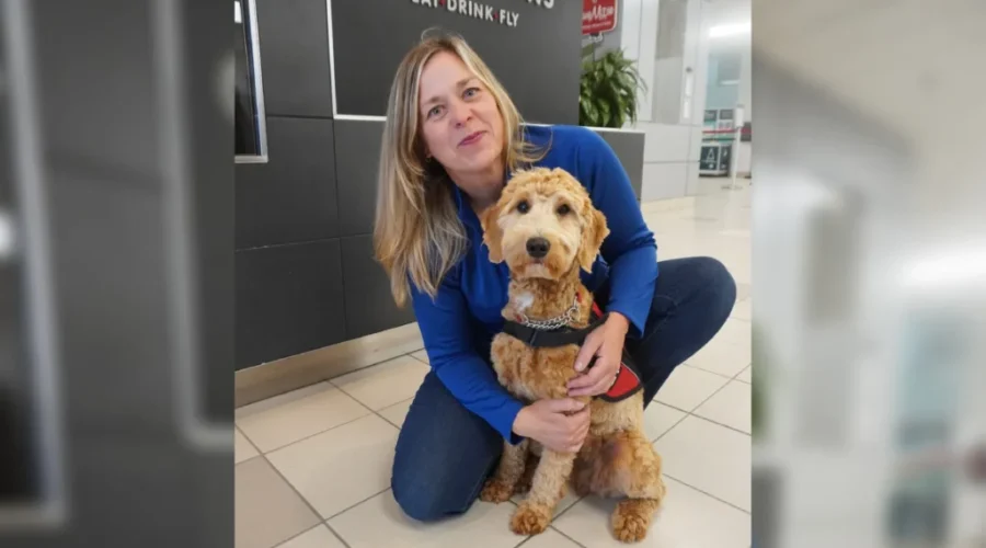 K9 Aerial a ‘paws-itive’ addition at Saint John Airport