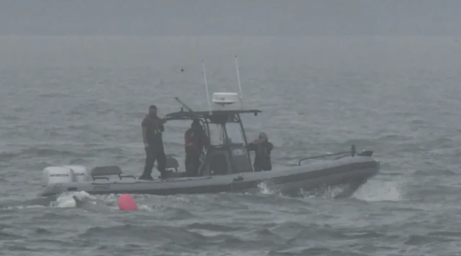 Two entangled humpback whales rescued this week