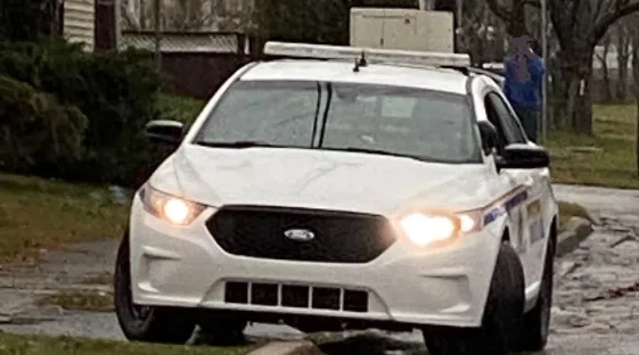 More information needed after series of vehicle thefts in N.B.