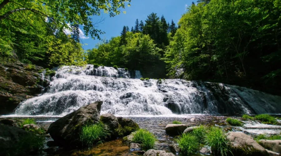 N.B. should set new targets for protected areas: survey