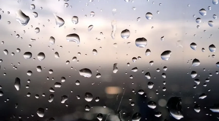 Rainy, windy across the Maritimes, ferry travel disrupted