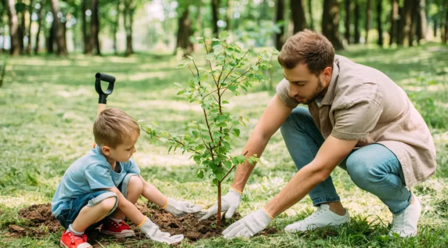 Volunteers across Canada will plant a tree today