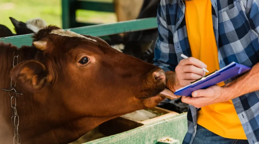 Families invited to New Brunswick’s Open Farm Day