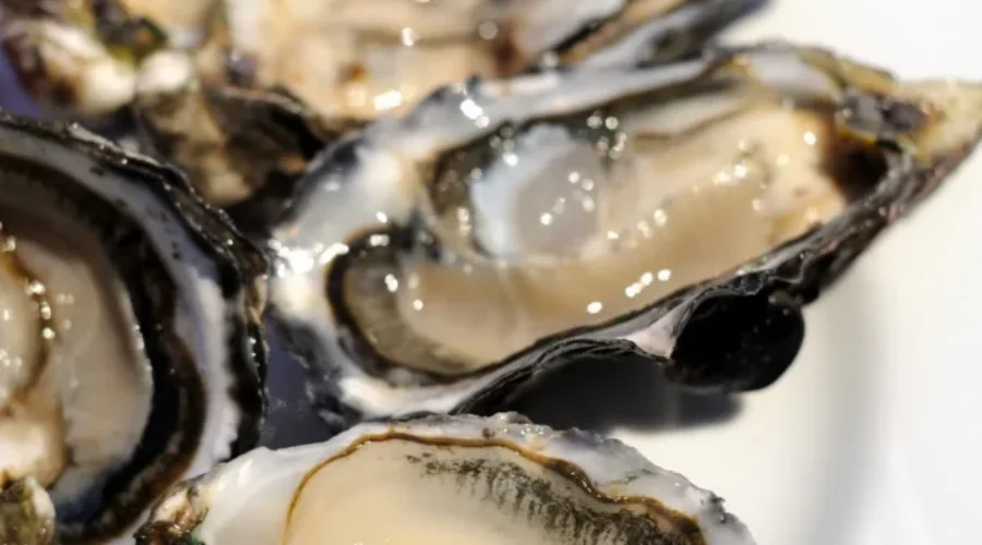 1 hospitalized, 550 symptomatic after P.E.I shellfish festival