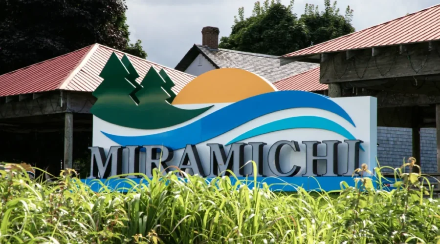 Amazing Race Canada to feature N.B. communities