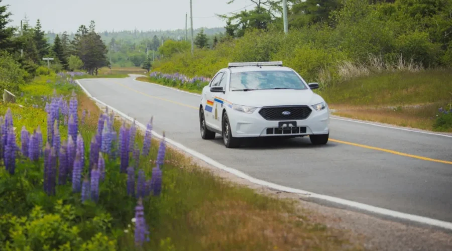 Fatal crash in New Denmark