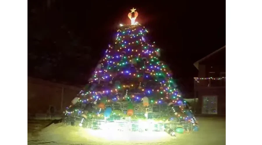 Alma to feature a more traditional style Christmas tree this year