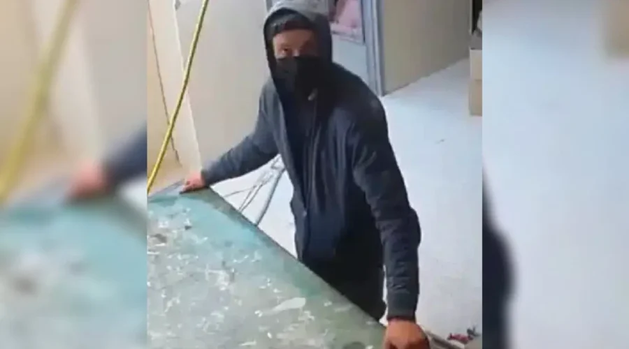 Saint John police seek suspect in break-in