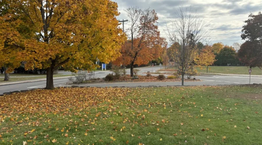 Saint Andrews council tackles speeding with new proposed traffic measures