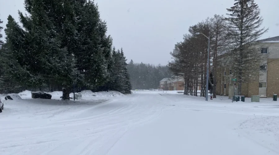 Pre-Christmas storm brings snow, gusty winds to N.B.