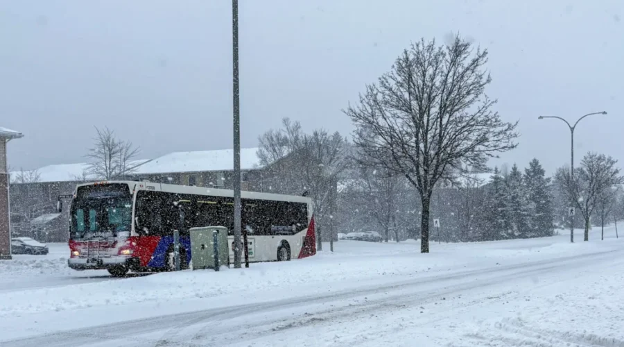 Saint John: Parking ban in place after messy storm