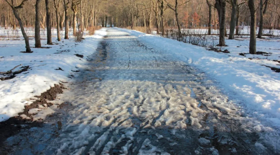Rain and snow in forecast for southern New Brunswick