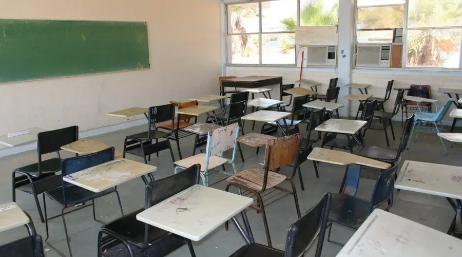 Rodents prompt inspection of Saint John school