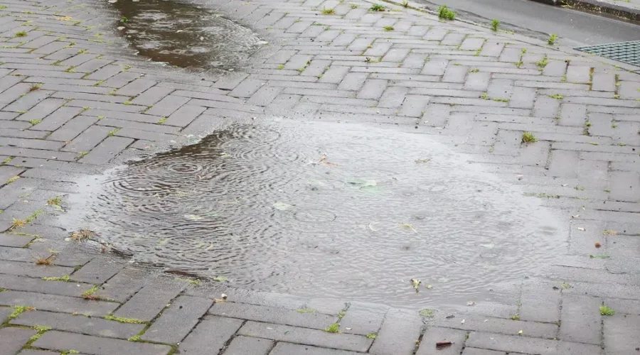 Southwestern N.B. under a rainfall warning