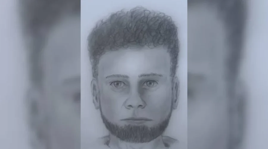 RCMP have sketch of suspect after attempted abduction near Cambridge-Narrows