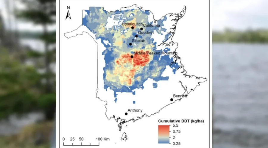 A pesticide last used 60 years ago still affecting N.B. lakes