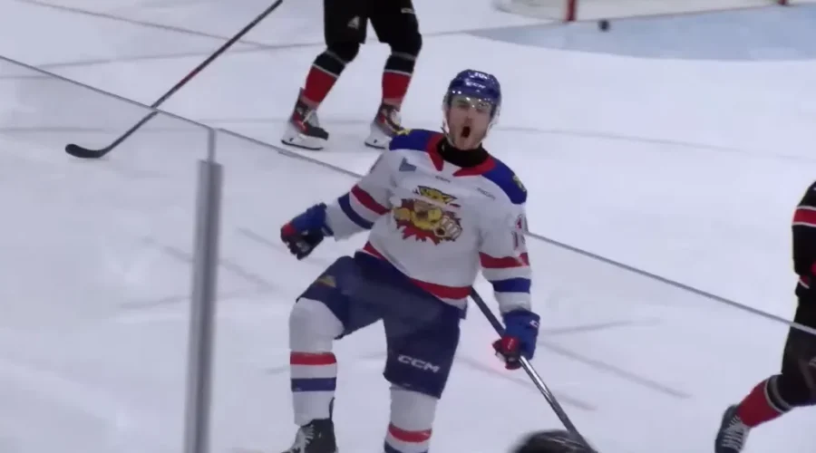 Moncton Wildcats face must-win game against Rimouski at Memorial Cup