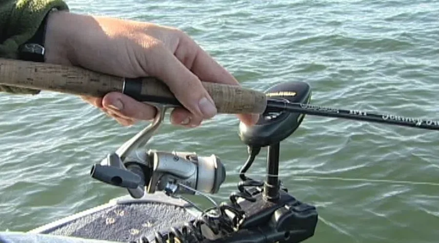 E-copies of licences now accepted by conservation officers