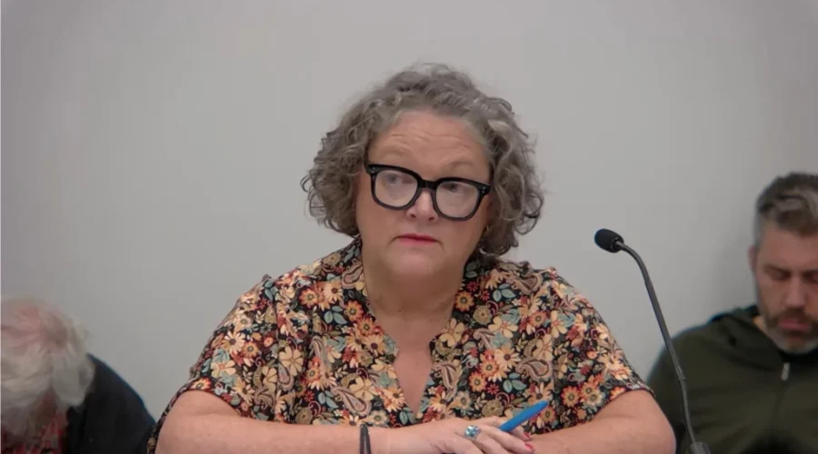 Proposed St. Stephen BIA shake-up draws concern