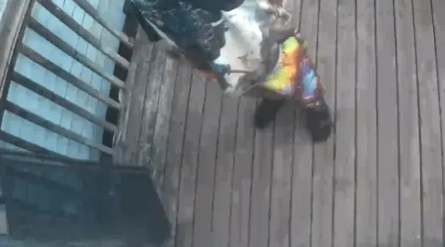 UPDATE: RCMP identify suspect in alleged Sackville assault