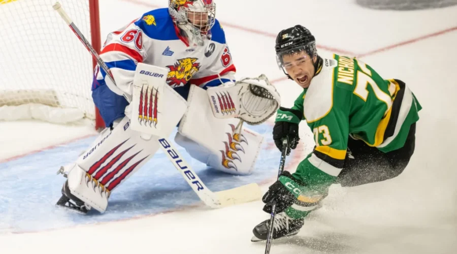 Wildcats fall to Knights in Memorial Cup semifinal