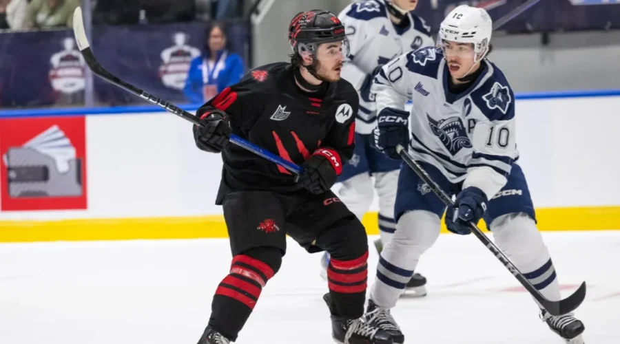 Memorial Cup semifinal: Wildcats vs. Knights