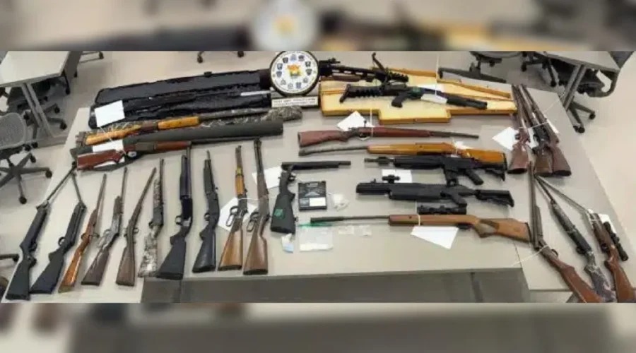 Saint John police seize firearms, drugs