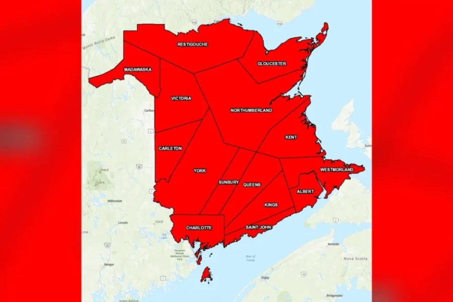 Forest fire ban for all of N.B.