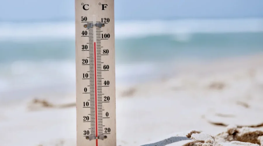 Heat warnings issued for parts of N.B.