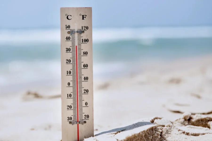 Heat warnings issued for parts of N.B.