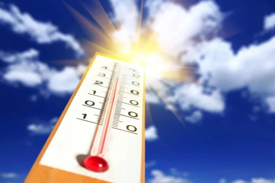 Day two of heat warnings for parts of N.B.