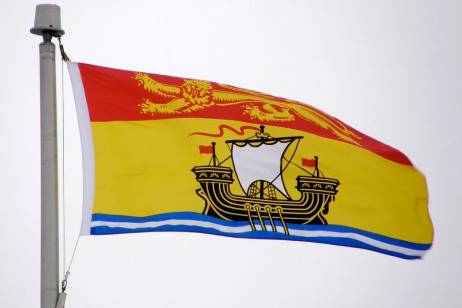 Canada Disability Benefit will not be clawed back in N.B.
