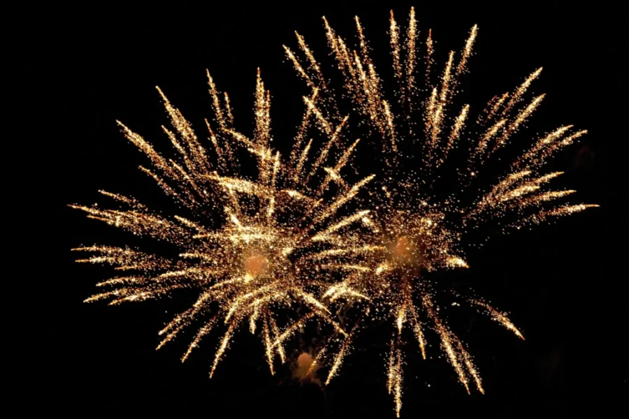 Fireworks displays to celebrate N.B. Day