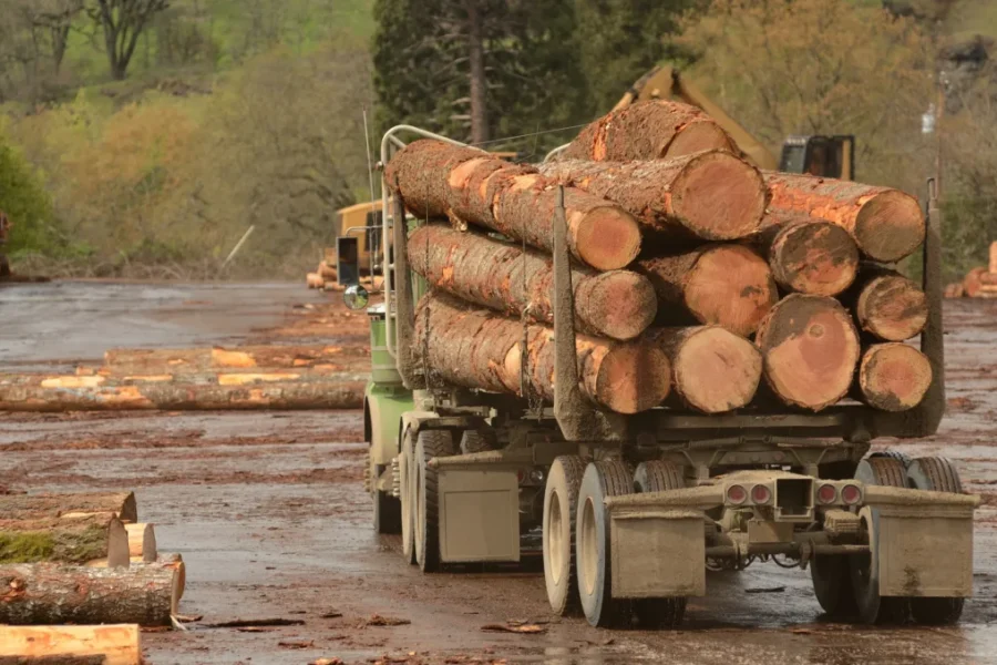 Lumber producers say higher fees from U.S. are ‘unjustified’