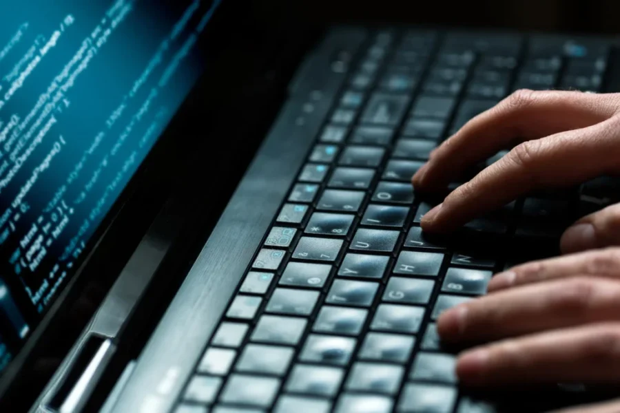 Business scams rising in Canada, experts warn of risks