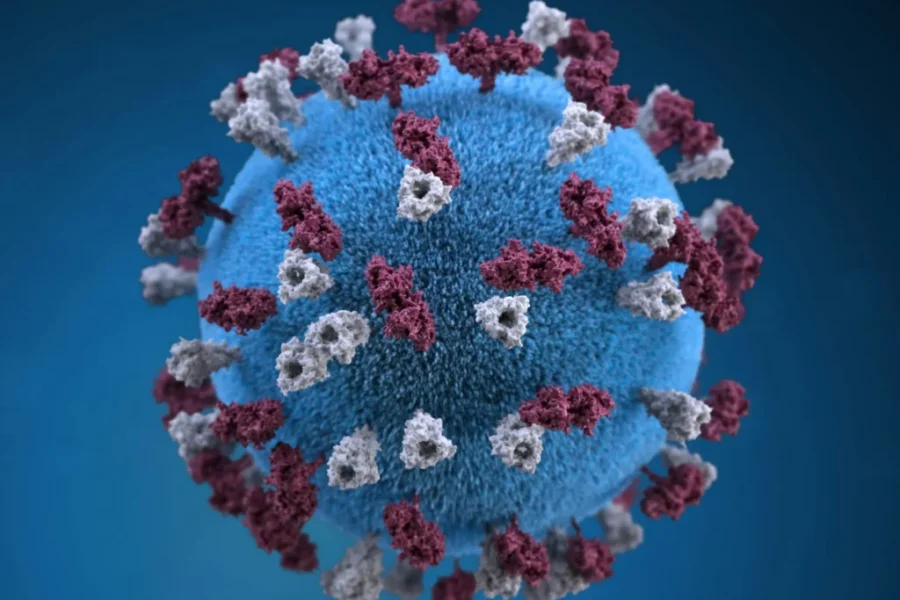 Sussex-area measles outbreak continues to grow