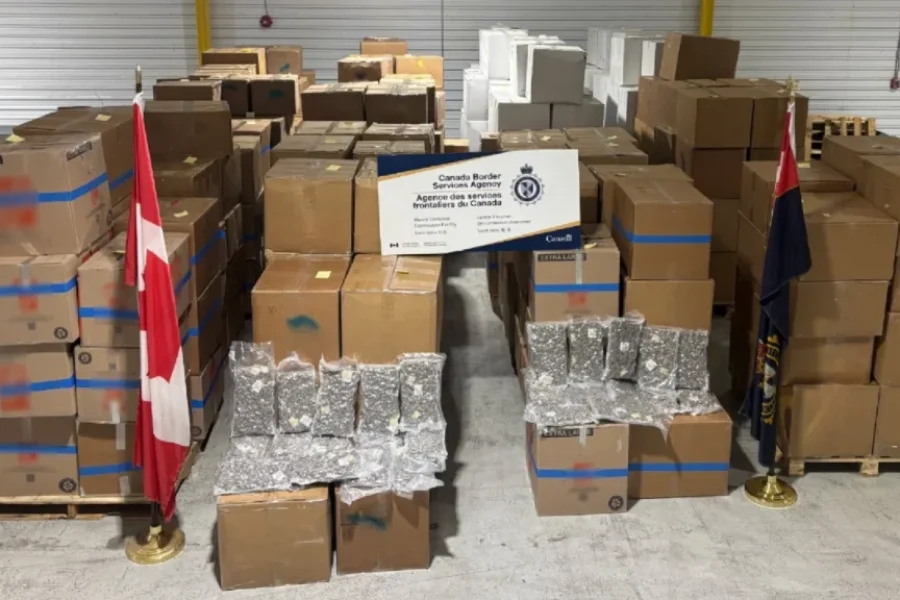 6,700 kilos of suspected cannabis seized in Saint John