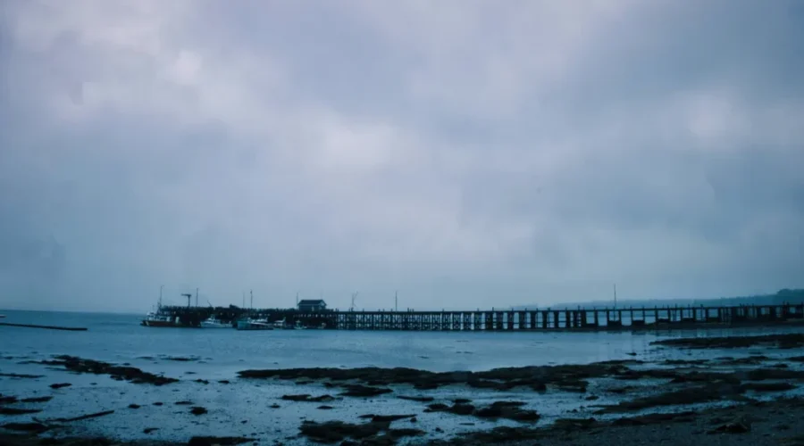 Saint Andrews wharf study released, faces public pushback