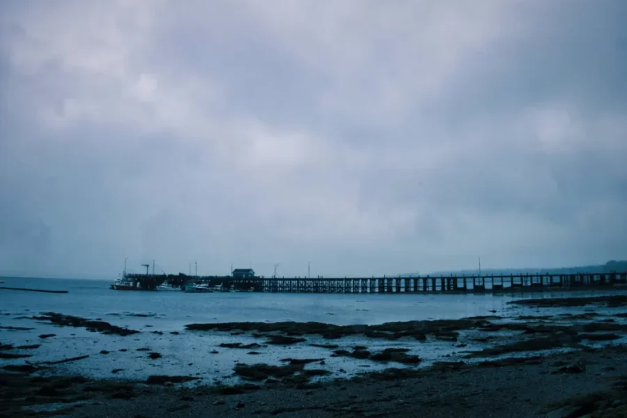 Saint Andrews wharf study released, faces public pushback