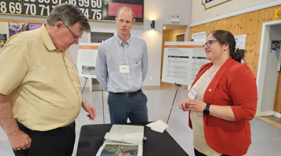 NB Power looks to add more transmission capacity in southern N.B.