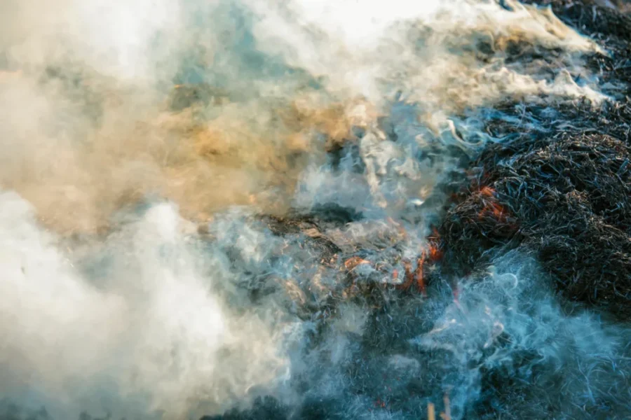 Wildfire risk remains in N.B. as some Crown land restrictions lift