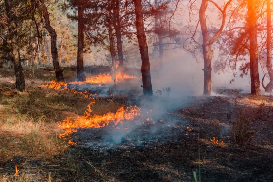 UPD: 34 active wildfires in N.B.