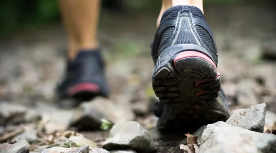 Trails in Saint John to stay closed