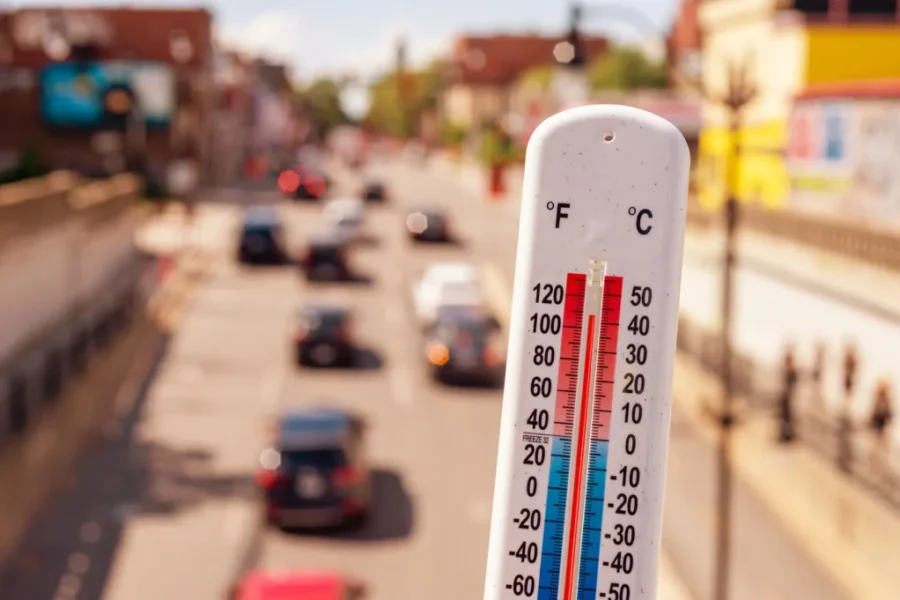 Most of N.B. under heat warning